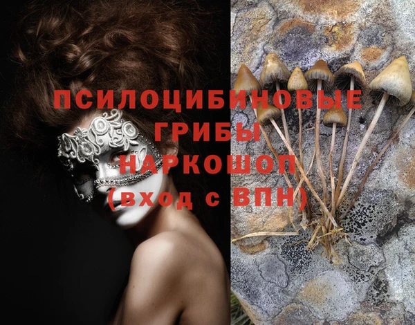 мяу мяу кристалл Заводоуковск