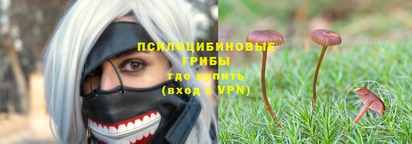 соль ск Заволжье